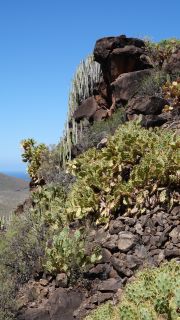 2022-04-GranCan-Agaete-Trekking_view-PM-NN-037.JPG